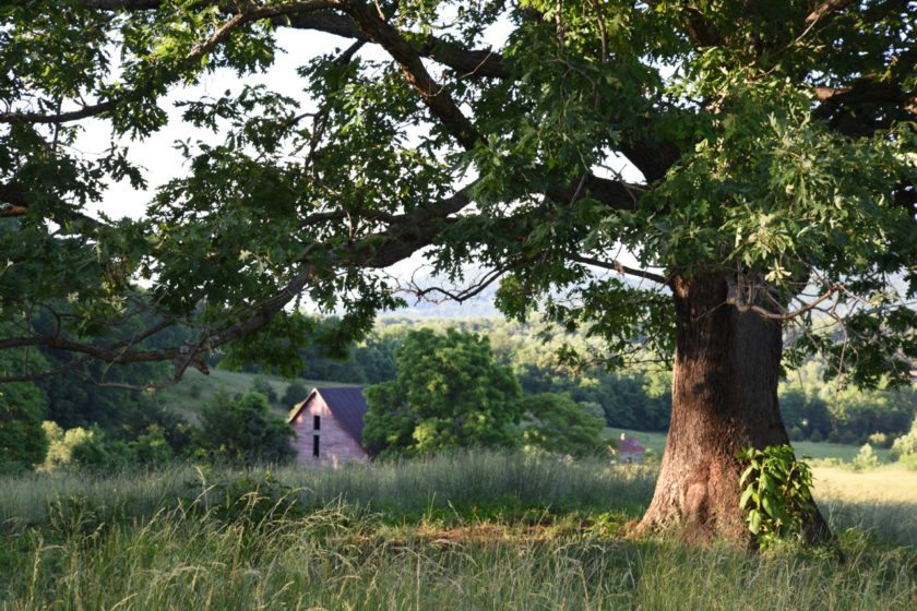 Big Bear Claw Farm, 50 Acres for sale in Madison County