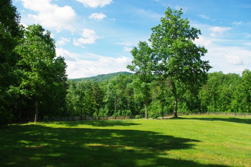 201 Rock Mills Road Cheri Woodard Realty